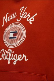 تصویر سویشرت مردانه تامی هیلفیگر اورجینال رنگارنگ Tommy Hilfiger MW0MW35563 