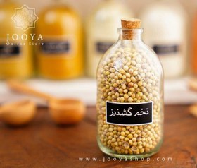 تصویر تخم گشنیز 