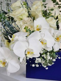 تصویر پکیج باکس گل و کیک vip 