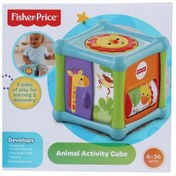 تصویر بازی آموزشی مدل ACTIVITY BLOCK (Fisher Price) 