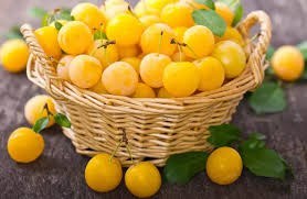 تصویر آلو زرد ارگانیک 