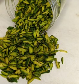 تصویر خلال پسته سبز 