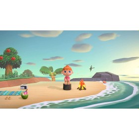 تصویر بازی Animal Crossing: New Horizons برای Nintendo Switch 
