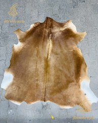 تصویر پوست مویی گاوی 