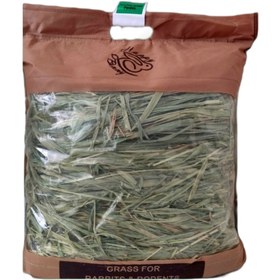 تصویر فیولایف سیب جوندگان 