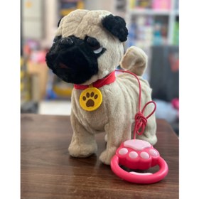 تصویر سگ حسگر 