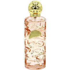 تصویر عطر زنانه Senorita حجم 100میل ورسای Versailles Senorita Perfume For Women 100ml