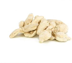 تصویر فروشگاه مشکدار