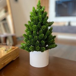 تصویر گلدان کاج مصنوعی 