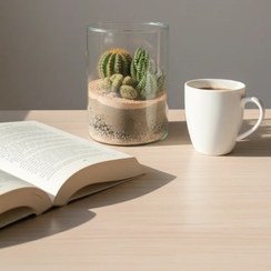 تصویر تراریوم صحرایی 