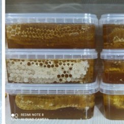 تصویر عسل۱۰۰۰گرمی آویشن با موم 