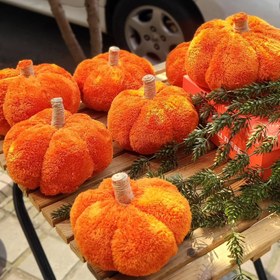 تصویر کدو تدی دکوری 