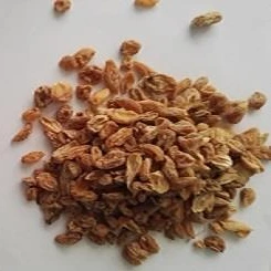 تصویر فروشگاه سپنج