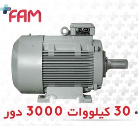 تصویر الکتروموتور سه فاز 30 کیلووات 3000 دور فریم چدنی موتوژن three-phase electric motor 30KW 3000 RPM with Iron frame Motogen