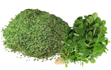 تصویر سبزی شنبلیله 