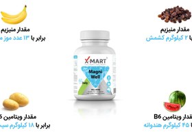 تصویر قرص مگنی ول ایکس_مارت X_Mart Magni Well Tablet