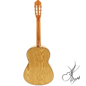 تصویر گیتار وفایی MV4 