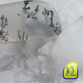 تصویر نگین کوارتز شجر 