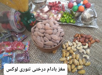 تصویر مغز بادام درختی خام ایرانی لوکس 