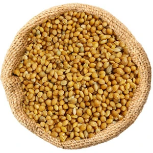 تصویر فروشگاه پاک نهاد