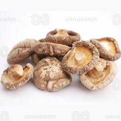 تصویر قارچ شیتاکه (Shiitake) اصل خارجی درجه ۱ 