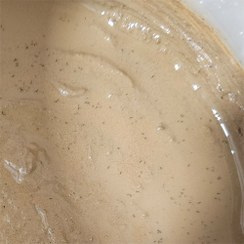 تصویر اسپرینگ تیل مخصوص تراریوم پالاداریوم ویواریوم