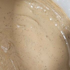 تصویر اسپرینگ تیل مخصوص تراریوم پالاداریوم ویواریوم