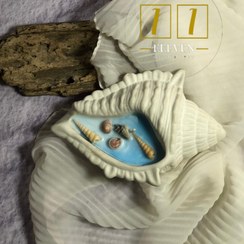 تصویر شات صدفی 