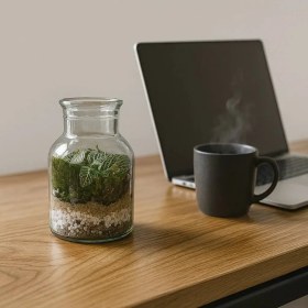 تصویر تراریوم کوچک 