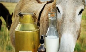 تصویر روغن الاغ اصل برای تسکین دردهای عضلانی 