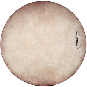 تصویر فروشگاه ساز اکسپرس