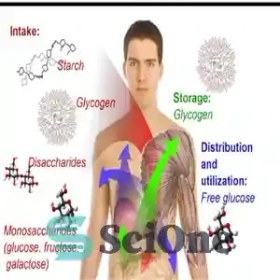 تصویر دانلود کتاب Fundamental concepts of metabolism biochemistry - مفاهیم اساسی بیوشیمی متابولیسم 