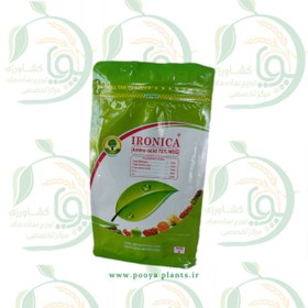 تصویر آمینو اسید آیرونیکا 