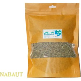 تصویر اویشن برگ پهن شیرازی 