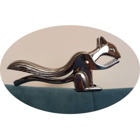 تصویر گردو شکن سنجاب 