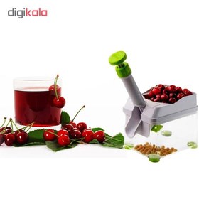 تصویر هسته گیر آلبالو نوین فرم کد 1021170 