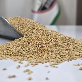 تصویر ارزن درشت یک کیلویی 