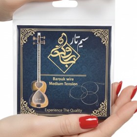 تصویر سیم تار باروک 