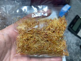 تصویر ریشه‌ (سفیدی) زعفران (یک مثقال) Saffron Whites (Roots) (4.6 gr)