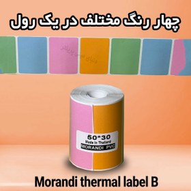 تصویر لیبل حرارتی رنگی طرح موراندی B اندازه 30*50 میلیمتر جنس PVC پاره نشو ضدآب ، چاپ بسیار شفاف و عالی THRMAL PAPER MORANDI COLOR WARM PVC WATER PROOF 30*50 mm