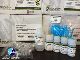 تصویر کیت استخراج DNA از بافت با پروتئینازK یکتا تجهیز (Tissue genomic DNA extraction) 