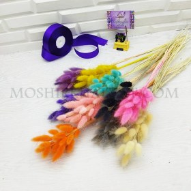 تصویر گل خشک مدل دم خرگوشی 