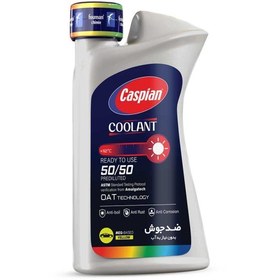 تصویر ضدیخ کاسپین مدل Four Seasons حجم ۰.۹ لیتر 