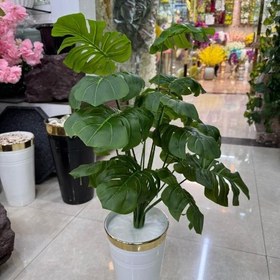 تصویر درختچه انجیری مصنوعی 