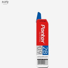 تصویر مغز اتود پنتر مدل 0.9 میل 2b 