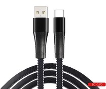 تصویر کابل تایپ سی 2.4A ارلدام EARLDOM مدل EC-170C EARLDOM type-C cable model EC-170C