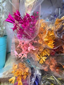 تصویر فروشگاه گلستونک