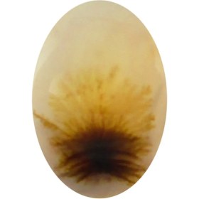 تصویر سنگ شجر پارلا گوهر کد 5082 