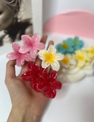 تصویر کلیپس مو پلومریا سایز مینی 