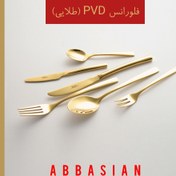 تصویر سرویس قاشق و چنگال ناب استیل 12 پارچه مدل فلورانس طلایی PVD nabsteel spoon and fork service 12 fabrics model Florence golden PVD